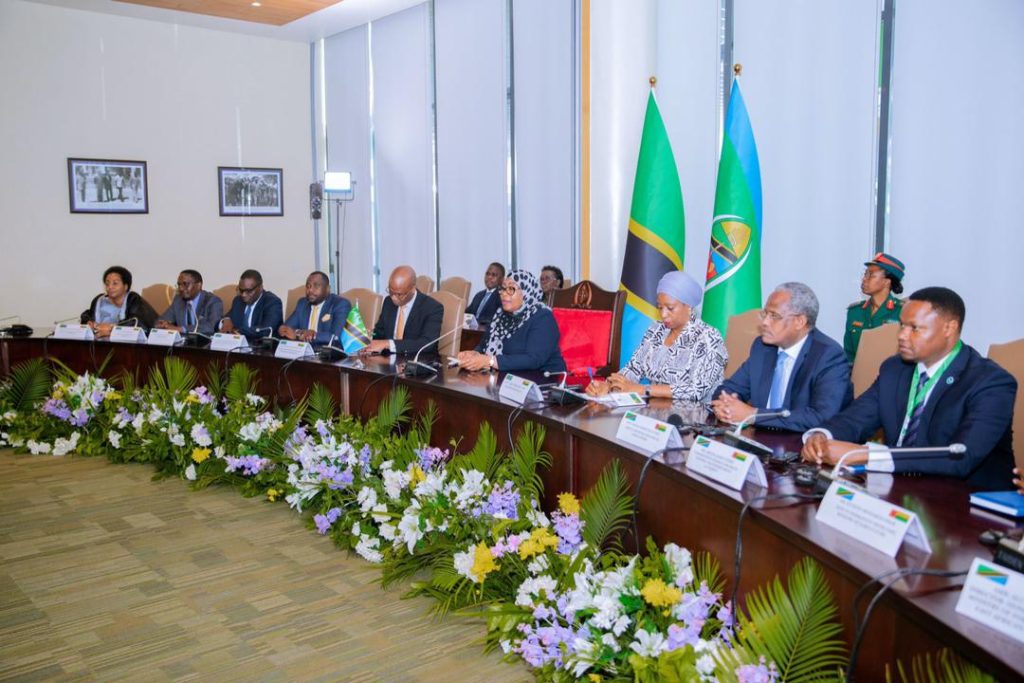 RAIS SAMIA AKIWA NA RAIS WA GUINEA BISSAU, IKULU DSM - New Times Tanzania